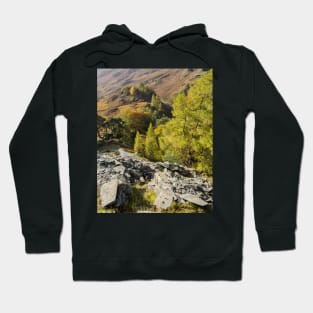 From Castle Crag Hoodie